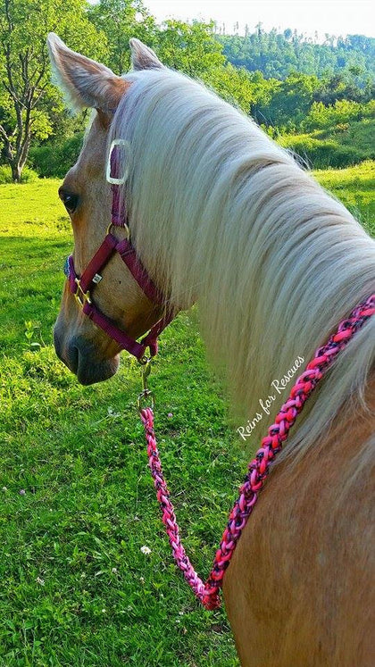 Lead Ropes & Dog Leashes