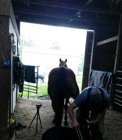 Horse Care