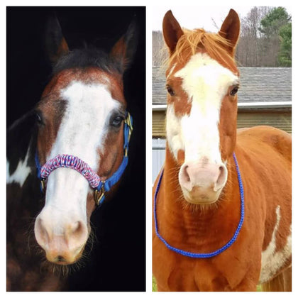 Halters & Neck Ropes