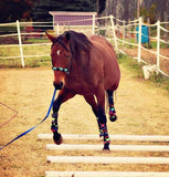 Side Pull Halter with Custom Paracord Noseband