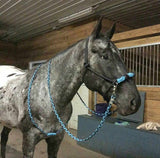 Side Pull Halter with Custom Paracord Noseband
