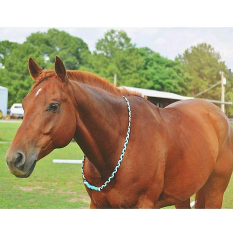 Custom Neck Rope for Tackless or Liberty Riding