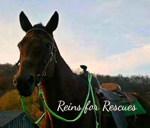 Custom Western Split Reins