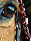 Custom Lead Rope
