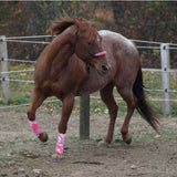 Custom Rope Halter, Horse Size