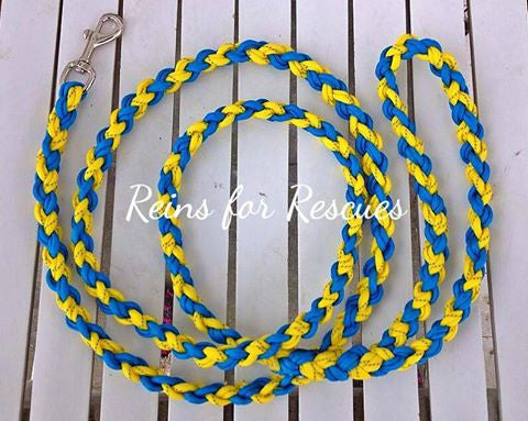 Custom Dog Leash – Reins for Rescues