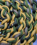 Goldenrod, Forest Green & Brown Lead Rope