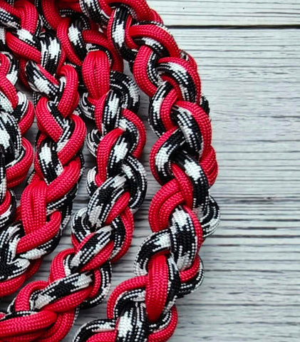 Harmony & Red Lead Rope