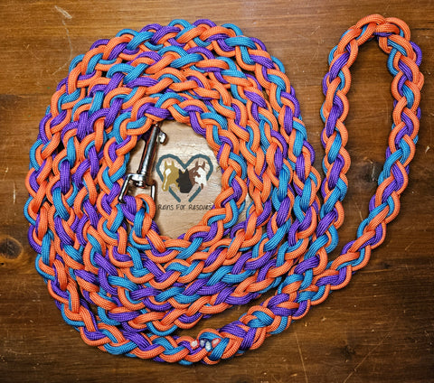 Purple, Blue & Orange Dog Leash