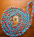 Tan, Turquoise & Red Dog Leash