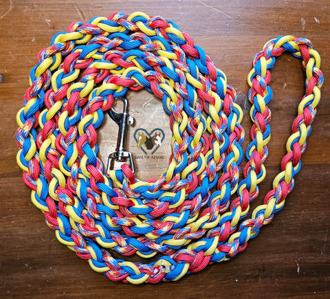 Red, Blue & Yellow Dog Leash