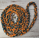 Green Teal & Orange Dog Leash