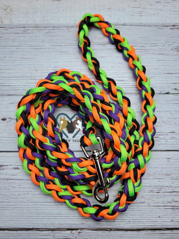 Neon Green, Orange, Purple & Black Dog Leash