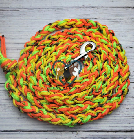 Hippy with Yellow, Neon Green & Orange Lead Rope