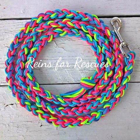 Turquoise, Lime, Hot Pink & Lavender Lead Rope