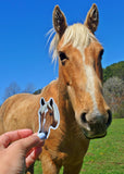 Reins for Rescues Official Rescues Magnets