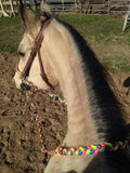 Kota's Rainbow Adjustable Riding Reins