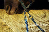 Custom Rope Halter with Matching Lead Rope, Horse Sized