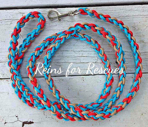 Turquoise, Red & Tan Dog Leash