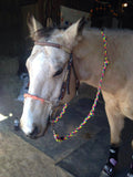 Kota's Rainbow Adjustable Riding Reins